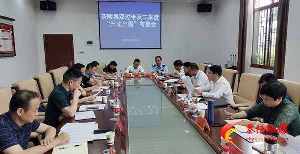茶陵县“双过半”及二季度“三比三看”部署