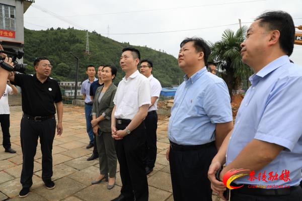 胡长春来茶调研当前重点工作