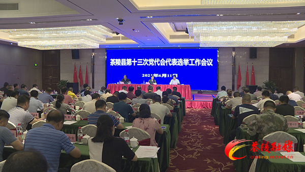 茶陵县第十三次党代会代表选举工作会议召开
