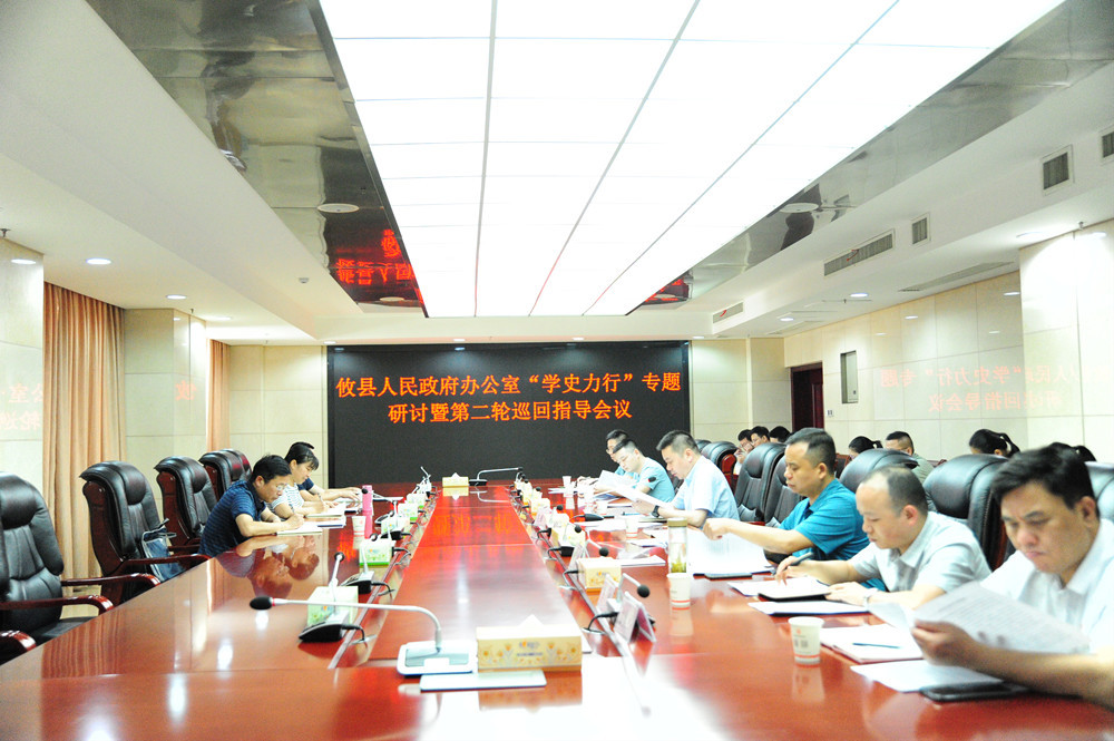 县政府办召开党史学习教育 第四次专题学习