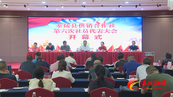 茶陵县供销合作社第六次社员代表大会召开