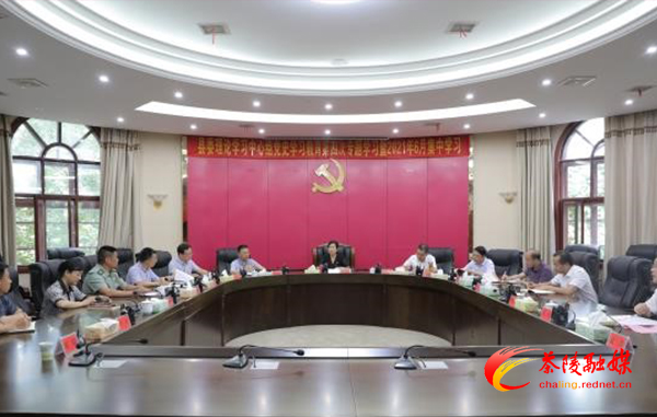 茶陵县委理论学习中心组开展党史学习教育第