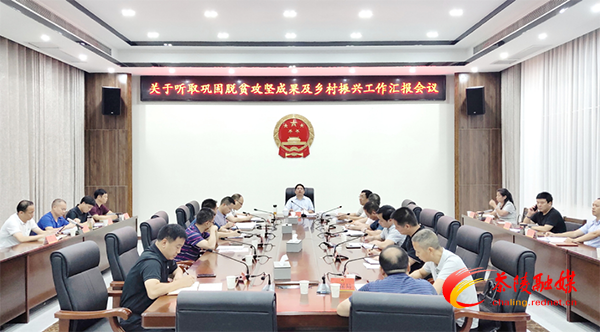茶陵县巩固脱贫攻坚成果及乡村振兴工作汇报