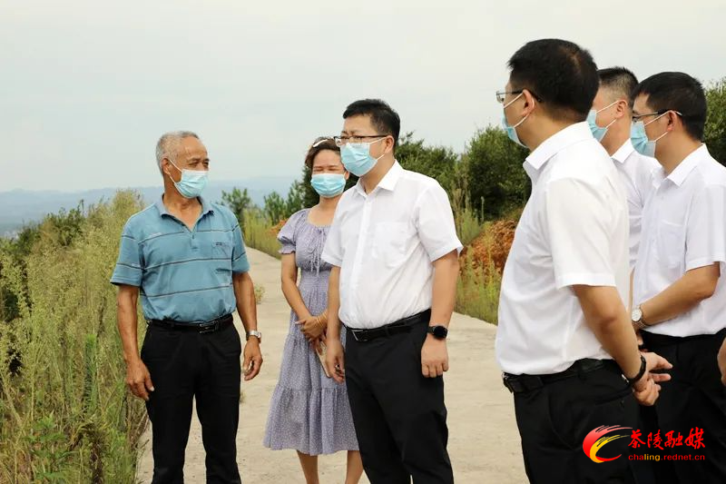 杨红兵到腰潞镇调研产业发展、集镇建设等工