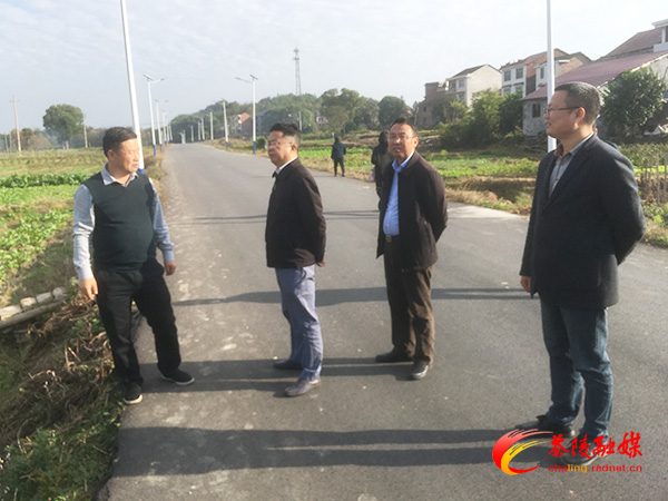 刘晓伟到洣江街道诸睦村调研指导乡村振兴工