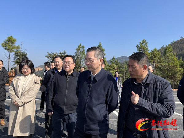 陈恢清来茶调研乡村振兴和软弱涣散党组织整