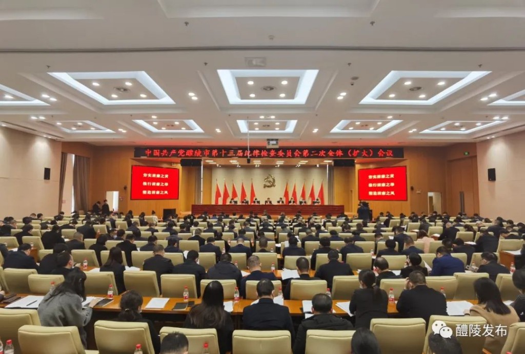 市第十三届纪委第二次全体（扩大）会议召开
