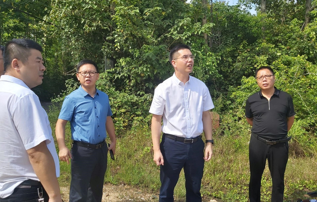武挪强到洣水河谭桥东塔段巡河 强调：守护
