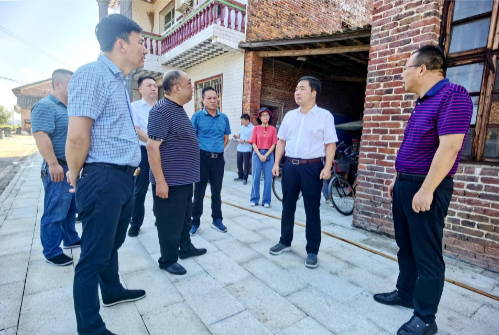 李鹏程督导乡村振兴工作 强调：党建引领、