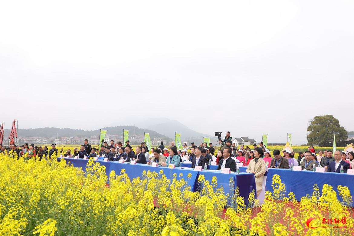 2023湖南油菜花节茶陵分会场暨茶陵县第