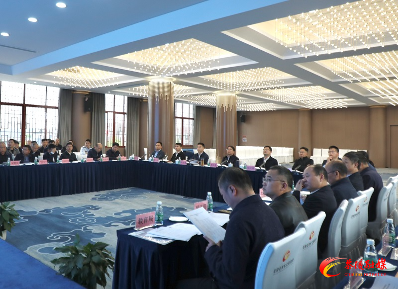 茶陵县国土空间规划委员会2023年第一次