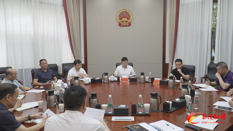 杨红兵调度茶陵县重点CD级经营性自建房工