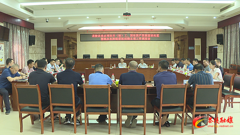 茶陵县调度重点项目开（竣）工、国有资产资