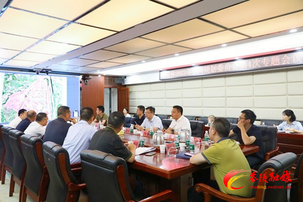 杨红兵主持召开2023年茶陵县空间规划委