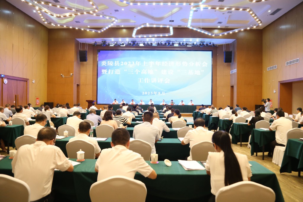 炎陵县2023年上半年经济形势分析会暨打