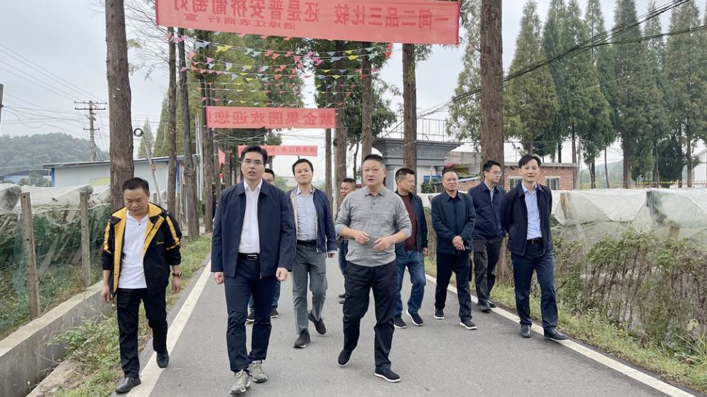 武挪强深入酒埠江镇调研乡村振兴及开展巡田