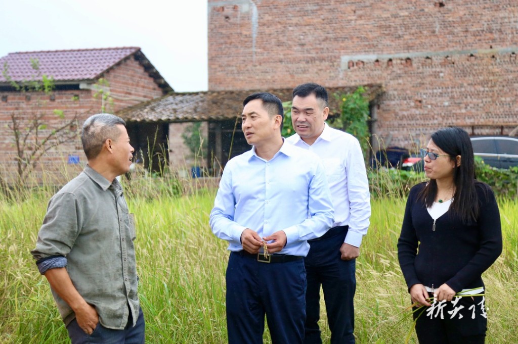 尹朝晖在霞阳镇调研粮食安全和“数字乡村”
