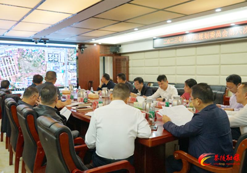 杨红兵主持召开2023年茶陵县空间规划委