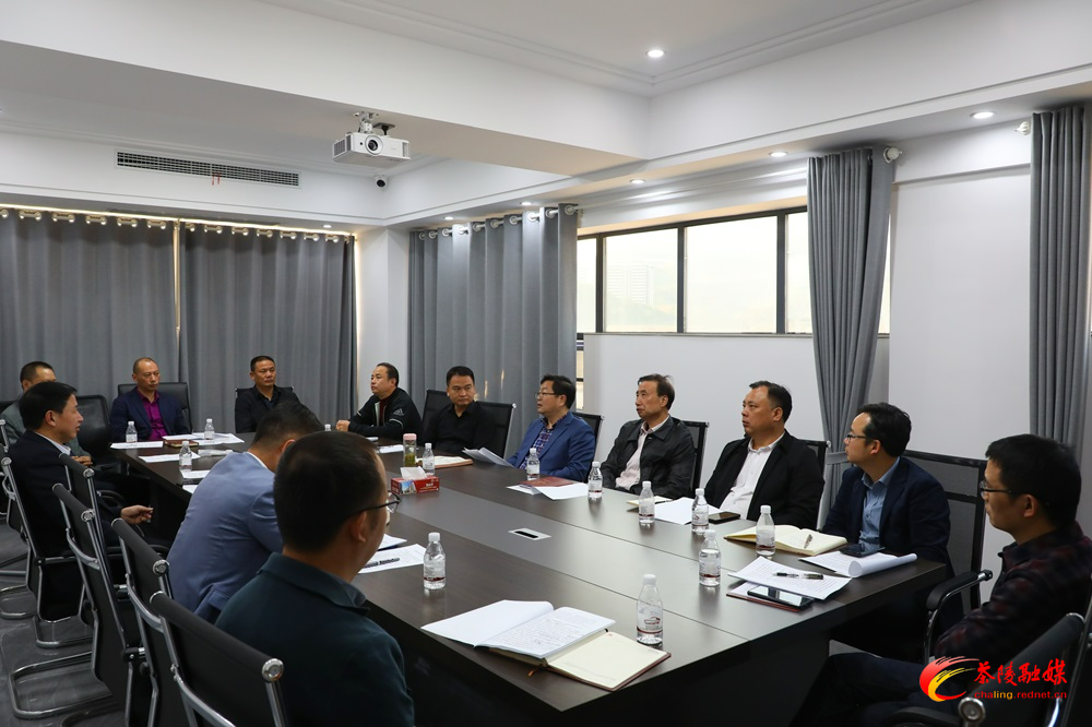 杨红兵带队调研房地产领域风险化解和保交楼