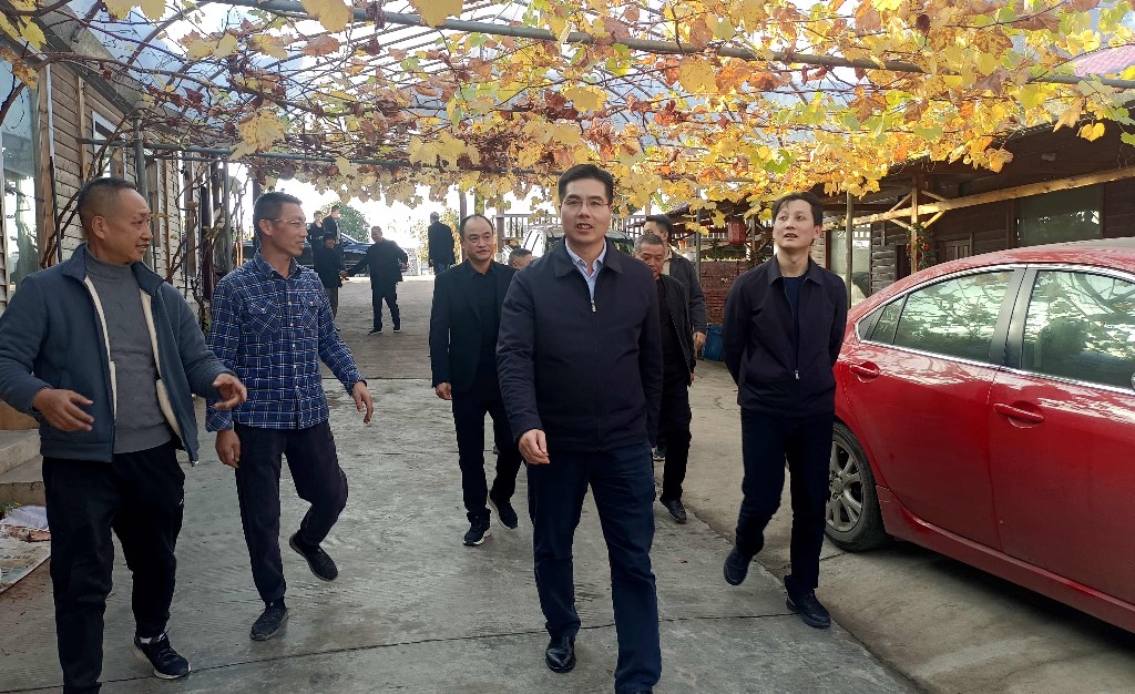 武挪强到皇图岭镇调研乡村振兴工作