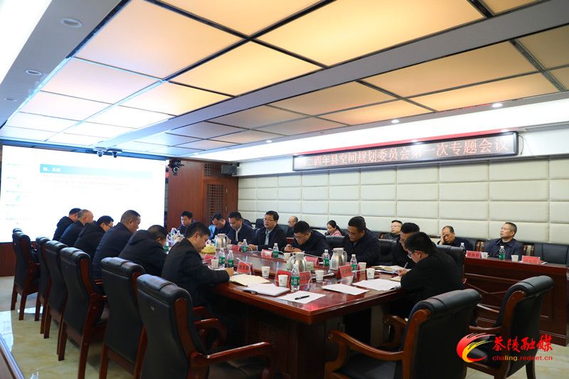 杨红兵主持召开2024年县空间规划委员会