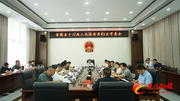 杨红兵主持召开茶陵县十八届人民政府第41