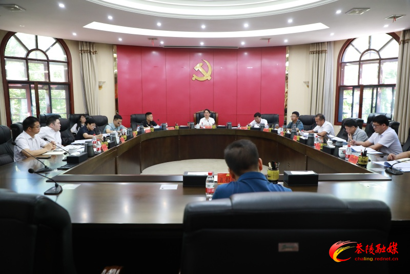 邓元连主持召开中共茶陵县委常委会2024