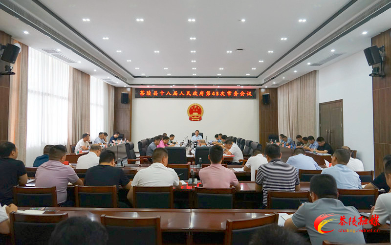 杨红兵主持召开茶陵县十八届人民政府第43
