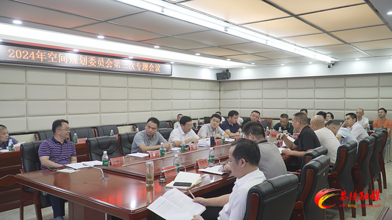 2024年县空间规划委员会第三次专题会召