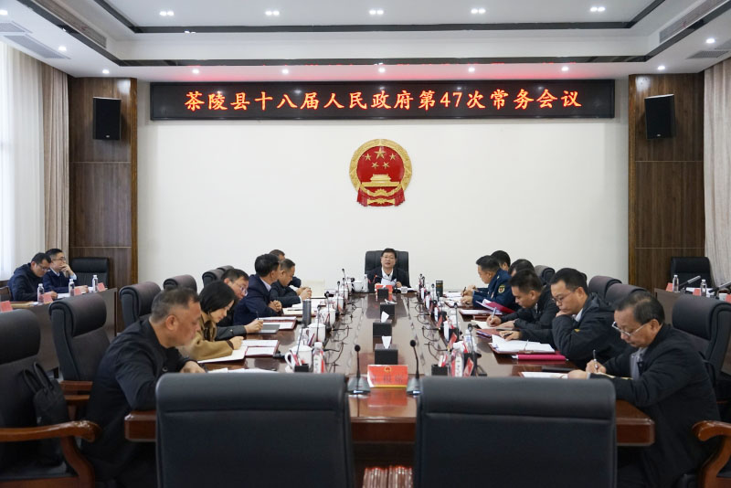 杨红兵主持召开茶陵县十八届人民政府第47
