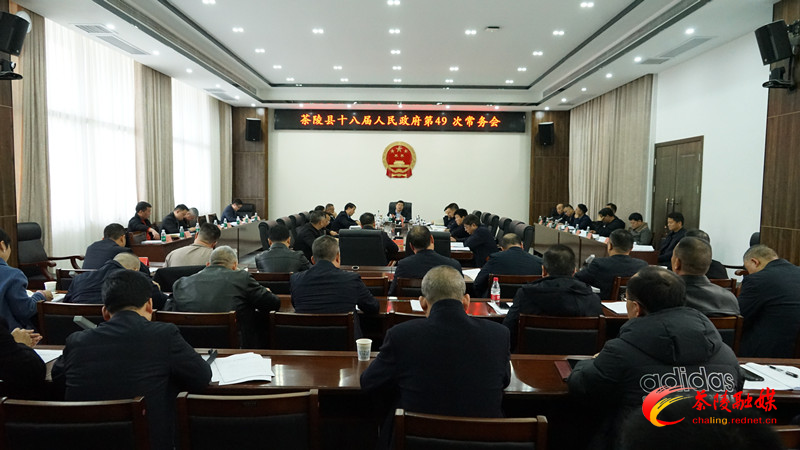 杨红兵主持召开茶陵县十八届人民政府第49